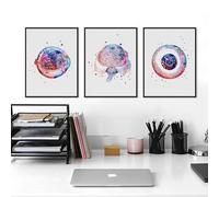 Stampa Dell'Occhio Umano, Poster Di Anatomia Dell'Ottico, Decorazione Per Optometria, Clinica, Arte Murale, Dipinto Su Tela, Diagramma Dell'Occhio Della Scuola Di Medicina 40X60Cmx3Pcs Senza Telaio
