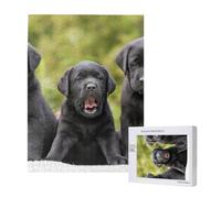 Stampa di cane Labrador Retriever,Puzzle in legno da 500 pezzi per adulti e adolescenti