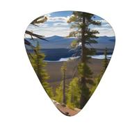 Stampa di un albero di pino di montagna di Moose Stampa 12 pezzi di plettri per chitarra adatti agli amanti 3 diversi spessori 0,46 0,71 0,96 mm