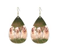 Stampa Orecchini Clumber Spaniel Puppies Orecchino da Donna Confortevoli Orecchini Pendenti Lunghi per Decorazioni Bambina Vacanze