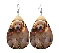 Stampa Orecchini Donna Golden Retriever Dogs Puppies Pets Orecchino Da Donna Confortevoli Orecchini Bambina Per Festa Della Mamma Festa Vacanze