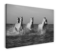 Stampa su Tela (120x80 cm) cavalli, mandria bianca, acqua di mare, bianco e nero, foto di animali, fotografia naturalistica, telaio in vero legno con gancio