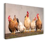 Stampa su Tela (120x80 cm) Galline sul recinto, Gallo della Fattoria, Colori Caldi, Foto di Animali, Fotografia naturalistica, Telaio in Vero Legno con Gancio