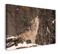 Stampa su Tela (120x80 cm) lupo, luna che ulula foresta naturale, colori caldi, foto di animali, fotografia naturalistica, telaio in vero legno con gancio