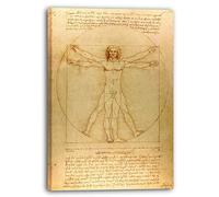 Stampa su tela (60x80cm): Leonardo Da Vinci - Uomo vitruviano