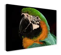 Stampa su Tela (80x60 cm) pappagallo, giungla di piume colorate, colori caldi, foto di animali, fotografia naturalistica, telaio in vero legno con gancio