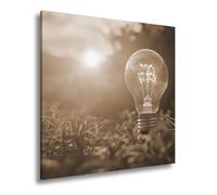 Stampa su tela con luce solare che scorre attraverso una lampadina in mezzo alla natura, formato: 40 x 40 cm, effetto: Seppia XXL, stampa artistica su cornice/parete o soggiorno