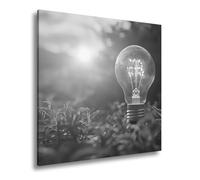 Stampa su tela con luce solare che scorre attraverso una lampadina in mezzo alla natura, formato: 70 x 70 cm, effetto: bianco e nero, XXL, stampa artistica su telaio, decorazione da parete o soggiorno