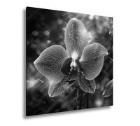 Stampa su tela con orchidea al neon, luminosa come un sogno, formato: 60 x 60 cm, effetto bianco e nero, XXL, stampa artistica su cornice/parete o decorazione soggiorno