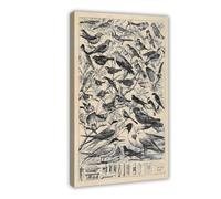 Stampa su tela con specie di uccelli, grafico a guarda, illustrazione di uccelli in stile vintage, conoscenza, stampa moderna da parete astratta geometrica minimalista artistica incorniciata per