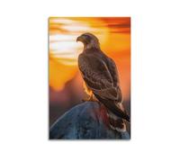 Stampa su tela decorativa con falco deserto al tramonto scogliera pesce persico sguardo intenso maestoso uccello rapace, stampa artistica per camera da letto per la famiglia (30 x 45 cm)