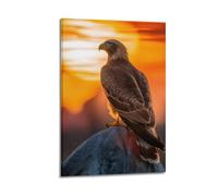 Stampa su tela decorativa con falco deserto al tramonto scogliera pesce persico sguardo intenso maestoso uccello rapace, stampa artistica per camera da letto per la famiglia (30 x 45 cm)