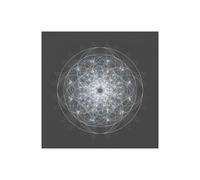 Stampa su Tela su Carta Poster o Quadro Anderson Tyler Dynamic II