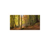 Stampa su Tela su Carta Poster o Quadro Anonymous Autumn beech woods, Birks o'Ab