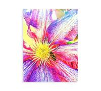 Stampa su Tela su Carta Poster o Quadro Bannon Heidi Happy Bee I