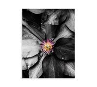 Stampa su Tela su Carta Poster o Quadro Bannon Heidi Just a Touch