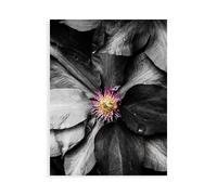 Stampa su Tela su Carta Poster o Quadro Bannon Heidi Just a Touch