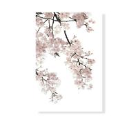 Stampa su Tela su Carta Poster o Quadro Bennett Kate Pink Blossoms on White I