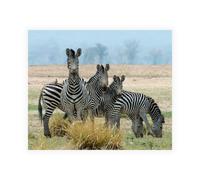 Stampa su Tela su Carta Poster o Quadro Bennion Scott Invisible