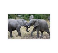 Stampa su Tela su Carta Poster o Quadro Bennion Scott Young Wrestlers