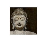 Stampa su Tela su Carta Poster o Quadro Bray Tom Meditative II