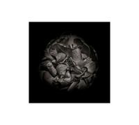 Stampa su Tela su Carta Poster o Quadro Carson Brian Black And White Peony I