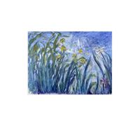 Stampa su Tela su Carta Poster o Quadro Claude Monet Les iris