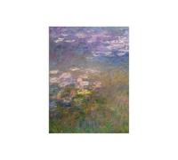 Stampa su Tela su Carta Poster o Quadro Claude Monet Water Lilies I