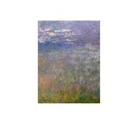 Stampa su Tela su Carta Poster o Quadro Claude Monet Water Lilies II