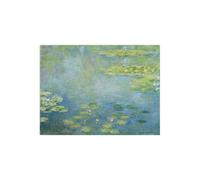 Stampa su Tela su Carta Poster o Quadro Claude Monet Waterlilies