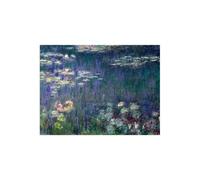 Stampa su Tela su Carta Poster o Quadro Claude Monet Waterlilies: Green Reflecti