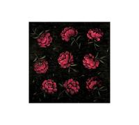 Stampa su Tela su Carta Poster o Quadro Harper Diane A Study in Red