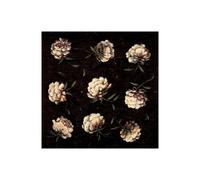 Stampa su Tela su Carta Poster o Quadro Harper Diane A Study in White