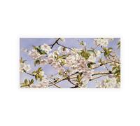 Stampa su Tela su Carta Poster o Quadro Hill John William Apple Blossoms