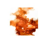 Stampa su Tela su Carta Poster o Quadro Hudson Daniela In the Midst I