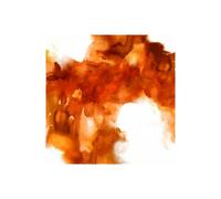 Stampa su Tela su Carta Poster o Quadro Hudson Daniela In the Midst II