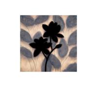 Stampa su Tela su Carta Poster o Quadro Lange Erin Blossom Silhouette II