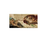 Stampa su Tela su Carta Poster o Quadro Michelangelo Buonarroti La creazione di