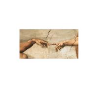 Stampa su Tela su Carta Poster o Quadro Michelangelo Buonarroti La creazione di