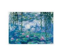 Stampa su Tela su Carta Poster o Quadro Monet Claude Nympheas