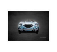 Stampa su Tela su Carta Poster o Quadro Rogan Mark Austin-Healey 100 LeMans 1956