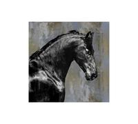 Stampa su Tela su Carta Poster o Quadro Rose Martin Black Stallion