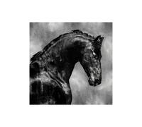 Stampa su Tela su Carta Poster o Quadro Rose Martin Black Stallion on Silver