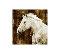 Stampa su Tela su Carta Poster o Quadro Rose Martin White Stallion