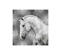 Stampa su Tela su Carta Poster o Quadro Rose Martin White Stallion on Silver