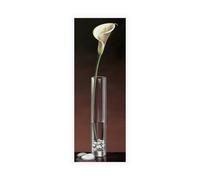 Stampa su Tela su Carta Poster o Quadro Ross Yuki Calla Haiku