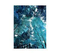 Stampa su Tela su Carta Poster o Quadro Scott Derek Blue Forest I