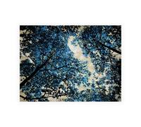 Stampa su Tela su Carta Poster o Quadro Scott Derek Blue Forest II