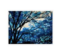 Stampa su Tela su Carta Poster o Quadro Scott Derek Blue Forest III