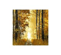 Stampa su Tela su Carta Poster o Quadro Scott Derek Sunlit Forest I